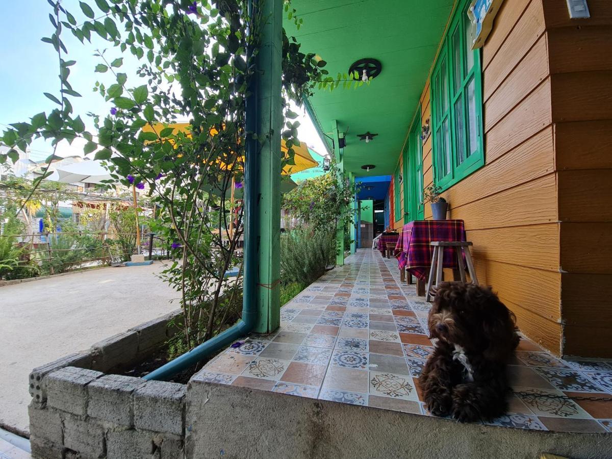 ฟลาวเวอร์สแอนด์ร็อคส์ วิลลา Villa ดาลัด ภายนอก รูปภาพ